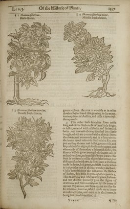 Herball or Generall Historie of Plantes, The