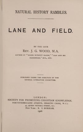 Item #03014 Natural History Rambles: Lane and Field. Rev. J. G. WOOD