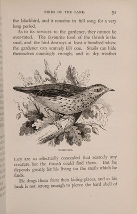 Natural History Rambles: Lane and Field