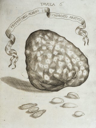 Esperienze Intorno