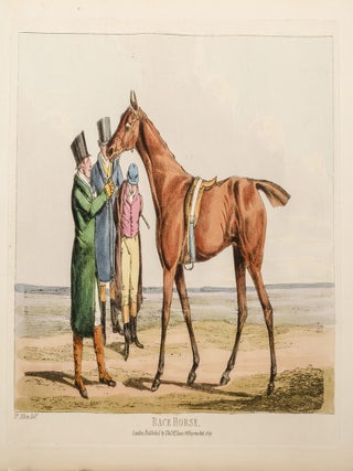 National Sports of Great Britain, The