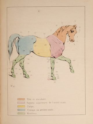 ABC du Sportsman