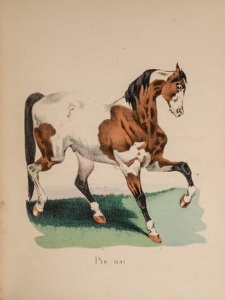 ABC du Sportsman
