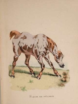 ABC du Sportsman