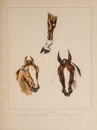 ABC du Sportsman