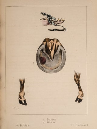 ABC du Sportsman