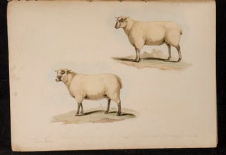 Proceedings of the Sussex Agricultural Society, from its Institution, to 1798, inclusive.