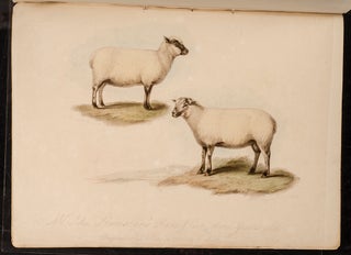 Proceedings of the Sussex Agricultural Society, from its Institution, to 1798, inclusive.