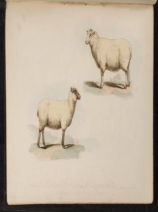 Proceedings of the Sussex Agricultural Society, from its Institution, to 1798, inclusive.