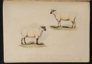 Proceedings of the Sussex Agricultural Society, from its Institution, to 1798, inclusive.