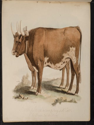 Proceedings of the Sussex Agricultural Society, from its Institution, to 1798, inclusive.