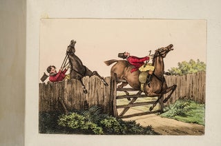 Sporting Notions