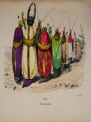 Item #04848 Les Métamorphoses du jour. J. J GRANDVILLE, pseud. of Jean-Ignace-Isidore Gerard