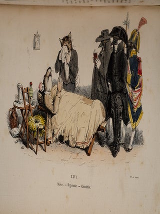 Les Métamorphoses du jour