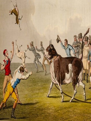 Item #05106 National Sports of Great Britain, The. Henry ALKEN