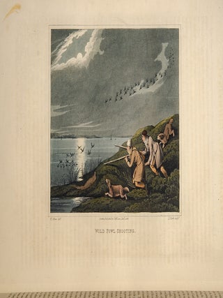 National Sports of Great Britain, The