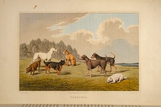 National Sports of Great Britain, The