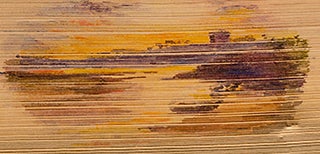 Item #05157 Homes and Haunts of Sir Walter Scott, Bart., The. FORE-EDGE PAINTING., Alfred DE...