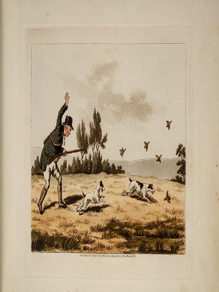 Eight Representations of Shooting