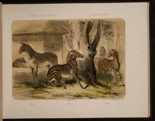 Jardin des Plantes: La Ménagerie et la Vallée Suisse