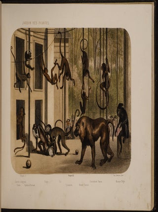 Jardin des Plantes: La M&eacute;nagerie et la Vall&eacute;e Suisse