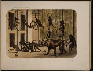 Jardin des Plantes: La Ménagerie et la Vallée Suisse