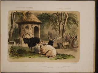 Jardin des Plantes: La Ménagerie et la Vallée Suisse