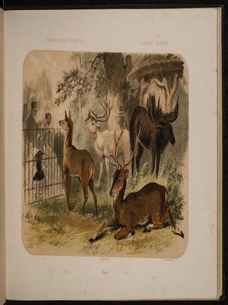 Jardin des Plantes: La M&eacute;nagerie et la Vall&eacute;e Suisse