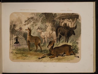 Jardin des Plantes: La Ménagerie et la Vallée Suisse