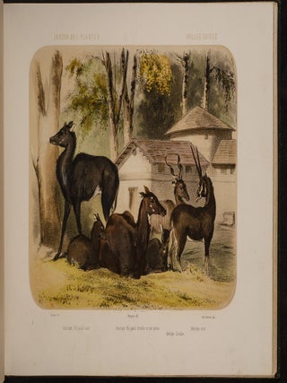 Jardin des Plantes: La M&eacute;nagerie et la Vall&eacute;e Suisse