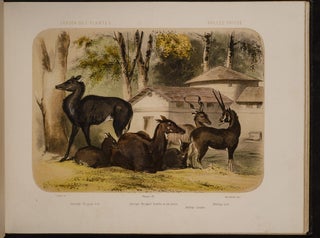 Jardin des Plantes: La Ménagerie et la Vallée Suisse