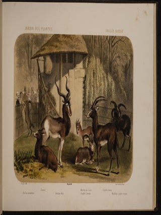 Jardin des Plantes: La M&eacute;nagerie et la Vall&eacute;e Suisse