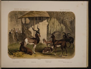 Jardin des Plantes: La Ménagerie et la Vallée Suisse