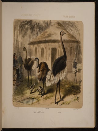 Jardin des Plantes: La M&eacute;nagerie et la Vall&eacute;e Suisse