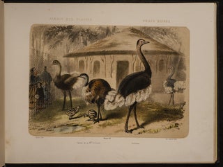 Jardin des Plantes: La Ménagerie et la Vallée Suisse