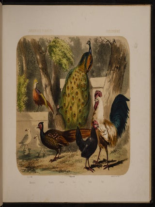Jardin des Plantes: La M&eacute;nagerie et la Vall&eacute;e Suisse