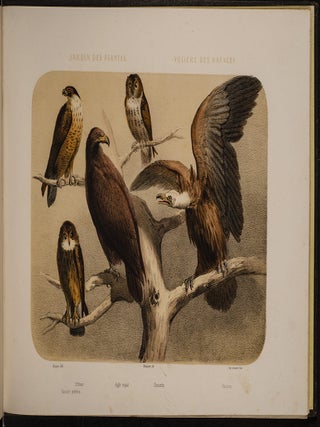 Jardin des Plantes: La M&eacute;nagerie et la Vall&eacute;e Suisse