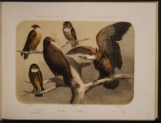 Jardin des Plantes: La Ménagerie et la Vallée Suisse