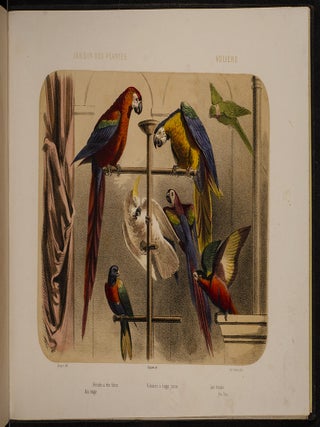 Jardin des Plantes: La M&eacute;nagerie et la Vall&eacute;e Suisse