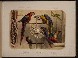 Jardin des Plantes: La Ménagerie et la Vallée Suisse