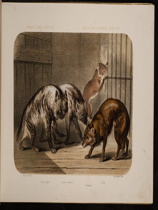 Jardin des Plantes: La M&eacute;nagerie et la Vall&eacute;e Suisse