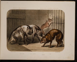 Jardin des Plantes: La Ménagerie et la Vallée Suisse