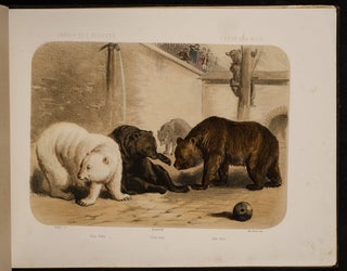 Jardin des Plantes: La Ménagerie et la Vallée Suisse