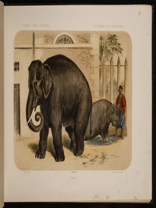 Jardin des Plantes: La M&eacute;nagerie et la Vall&eacute;e Suisse