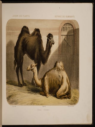 Jardin des Plantes: La M&eacute;nagerie et la Vall&eacute;e Suisse
