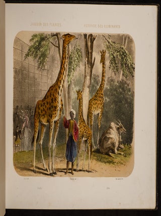 Jardin des Plantes: La M&eacute;nagerie et la Vall&eacute;e Suisse