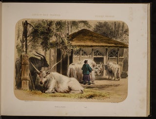 Jardin des Plantes: La Ménagerie et la Vallée Suisse