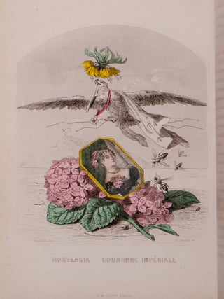 Les Fleurs Animées