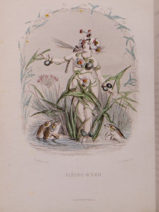 Les Fleurs Animées