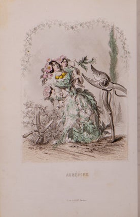 Les Fleurs Animées